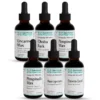 Derek Clontz Protocol 6 - Kit com Ervas Huacapurana e Stevia para Suporte Microbiano Extra