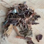 Tintura de Houttuynia SusqBotanicals 1oz - Extraída com Solventes Naturais para Suporte à Saúde - 4