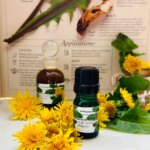 Óleo de Dente-de-Leão CO2 5ml - Aromaterapia Natural e Cuidados com a Pele - 4