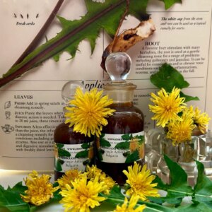 Óleo de Dente-de-Leão CO2 5ml - Aromaterapia Natural e Cuidados com a Pele