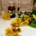 Óleo de Dente-de-Leão CO2 5ml - Aromaterapia Natural e Cuidados com a Pele - 3