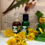 Óleo de Dente-de-Leão CO2 5ml - Aromaterapia Natural e Cuidados com a Pele - 5