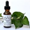 Tintura de Houttuynia ReverenceBotanicals - Extração Artesanal Orgânica para Saúde e Bem-Estar