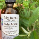 Extrato de Ervas Sida Acuta Myherbsforyou 60ml - Orgânico Sem Álcool para Suporte à Saúde - 5