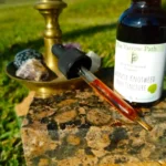 Extrato Orgânico de Knotweed Japonês 500mg - Suporte Natural à Saúde Respiratória - 2