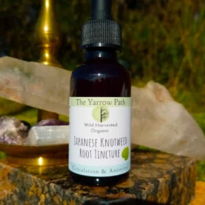 Extrato Orgânico de Knotweed Japonês 500mg - Suporte Natural à Saúde Respiratória