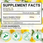 Extrato Orgânico de Raiz de Dente-de-Leão 60ml - Digestivo e Respiratório Sem Álcool - 2