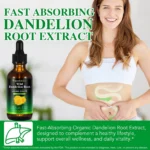 Extrato Orgânico de Raiz de Dente-de-Leão 60ml - Digestivo e Respiratório Sem Álcool - 4