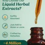 Extrato Líquido de Skullcap Orgânico 4 oz - Suporte Natural ao Sistema Nervoso - 4