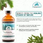 Extrato de Agulhas de Pinheiro Purely Wild - Suporte Imunológico Natural com Vitaminas e Minerais - 6