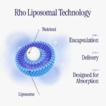 Rho Nutrition Liposomal NAD+ - Suplemento Líquido para Saúde Celular, Energia e Envelhecimento Saudável - 7