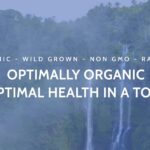 Óleo de Agulha de Pinho Vermelho Optimally Organic 60ml - Suporte Imunológico e Saúde Celular - 5