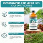 Extrato de Agulhas de Pinheiro Purely Wild - Suporte Imunológico Natural com Vitaminas e Minerais - 3