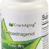 Cápsulas de Cycloastragenol 98% Crackaging - Ativação de Telomerase e Saúde do DNA