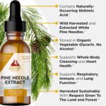 Extrato de Agulhas de Pinheiro Ascent Nutrition 30ml - Rico em Ácido Shikímico e Vitamina C Natural - 3