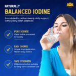 Lugoldine Iodine Drops 1 oz - Suplemento Líquido de Iodo para Suporte à Tireoide e Metabolismo Energético - 4