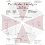 Sunifiram Líquido Nootrópico 30ML - Aumente Sua Performance Cognitiva com Umbrella Labs - 2