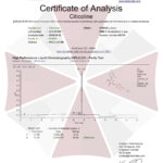 Pó de Citicolina Cognizin Umbrella Labs 60 Cápsulas - Suporte Cognitivo para Pesquisas - 5