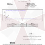 PEA-P HCl Líquido Nootrópico 30ML - Pesquisa Laboratorial para Estímulo Cognitivo - 5