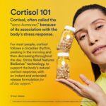 Ritual Suplemento para Alívio do Estresse - Ashwagandha, L-Theanine e Açafrão - Apoio ao Controle do Cortisol e Relaxamento Diário - 5