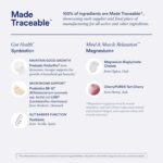 Duo de Suporte ao Cérebro, Músculos e Intestinos Ritual - Magnesio e Synbiotic para Relaxamento e Saúde Intestinal - 4