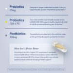 Ritual Synbiotic - Probiotico, Prebiotico e Postbiotico 3 em 1 para Saúde Digestiva e Intestinal - 3