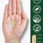 Suplemento Pólen de Abelha Carlyle 1000mg - Fortaleça sua Energia e Vitalidade com Ingredientes Naturais - 7