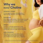 Ritual Natal Colina 550mg - Suporte à Função Cognitiva do Bebê Durante a Gravidez e Lactação - 4