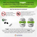 Ornitina 500 mg - Suplemento para Desintoxicação e Suporte Hepático - 9