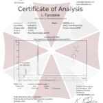 Pó de L-Tirosina Umbrella Labs 100 Gramas - Aumento da Cognição e Redução do Estresse - 4