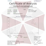 Pó de Uridina Monofosfato Umbrella Labs 30g - Suporte Cognitivo e Melhora da Memória - 5