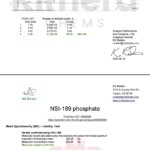 Fosfato NSI-189 Kimera Chems 60 Cápsulas - Nootrópico para Crescimento Neuronal em Pesquisa - 5
