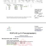 RGPU-95 Kimera Chems 50g - Nootrópico para Pesquisas em Laboratório com Alta Pureza - 5