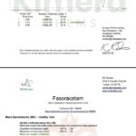 Fasoracetam Kimerachems 2 Gramas em Pó - Pesquisa Laboratorial Avançada em Neurociência - 5