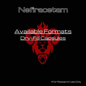 Nefiracetam Kimera Chems 120 Cápsulas - Pesquisa em Neuroplasticidade e Aprendizado