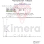 Hidrazida de Fenilpiracetam Kimera Chems 5g - Estabilidade Metabólica em Pesquisas - 5