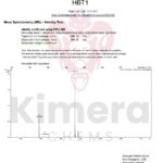 HBT1 YDL233C KIMERA CHEMS 30ml - Potencializador de Receptor AMPA para Pesquisa Laboratorial - 5
