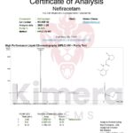 Nefiracetam Kimera Chems 120 Cápsulas - Pesquisa em Neuroplasticidade e Aprendizado - 5