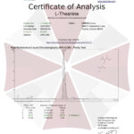 Pó de L-Theanine Umbrella Labs 12 Gramas - Redução do Estresse e Relaxamento Sem Sonolência - 4