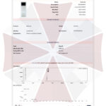 Pó Nootrópico IDRA-21 Umbrella Labs - Potencialize sua Pesquisa em Cognição e Aprendizado - 5