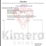 CDP-Colina (Citicolina) Kimerachems 120 Cápsulas - Pesquisa em Neurociência Avançada - 5