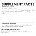 Cápsulas de Polypodium Leucotomos 240mg AMALTH - Suporte Antioxidante e para a Saúde da Pele - 2