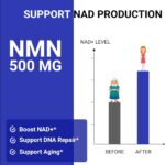 UpNourish NMN 500mg - Suplemento para Aumento de Energia e Vitalidade - 5