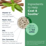 GastroMend HP Designs for Health - Suplemento para Saúde Digestiva com Goma Mastigável e Zinco - 3