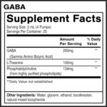 Quicksilver Scientific GABA Lipossomal + L Theanine 100mg - Suporte para Calma e Saúde Mental - 2