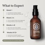 Terra Health Essentials - Glutationa Lipossomal 60ml - Suporte à Imunidade e Beleza da Pele - 7