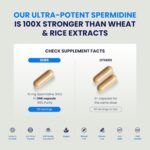 Suplemento de Spermidina Chemist Labs - Fórmula 100x para Longevidade e Bem-Estar - 120 Cápsulas - 2