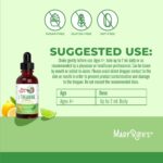 Gotas Líquidas de L-Theanine 200mg MaryRuth's - Suporte ao Humor e Concentração Natural - 3