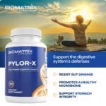 BioMatrix Pylor-X - Suplemento para Conforto Digestivo com Mastic Gum e Berberina - 3