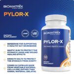 BioMatrix Pylor-X - Suplemento para Conforto Digestivo com Mastic Gum e Berberina - 2
